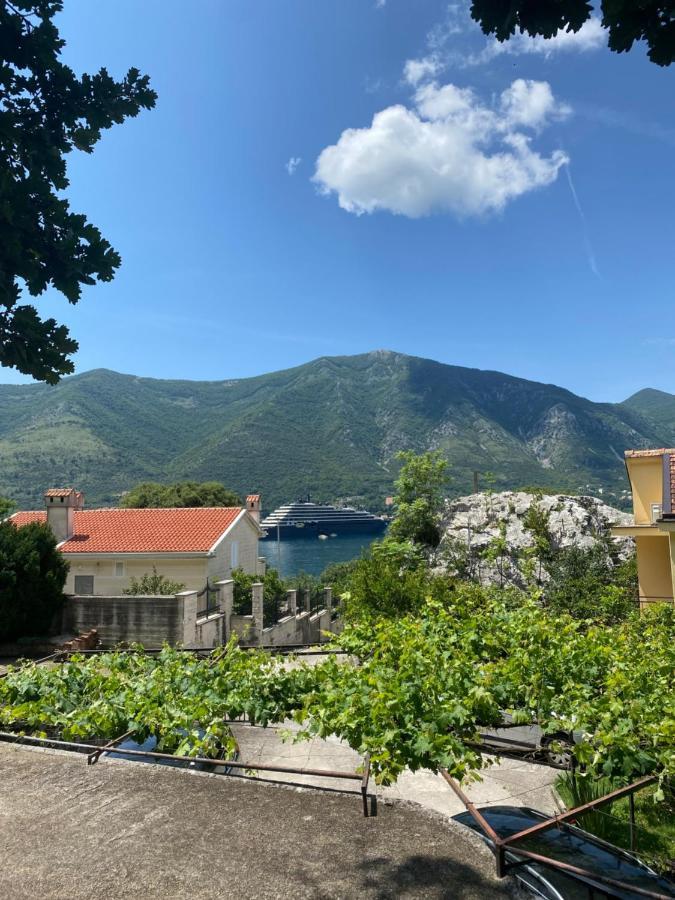 Vasiniko Apartment Kotor Ngoại thất bức ảnh